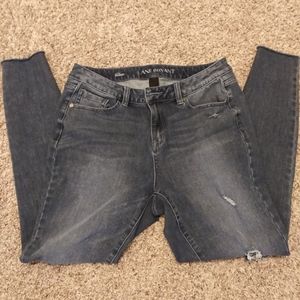 Lane Bryant distressed skinny jeans